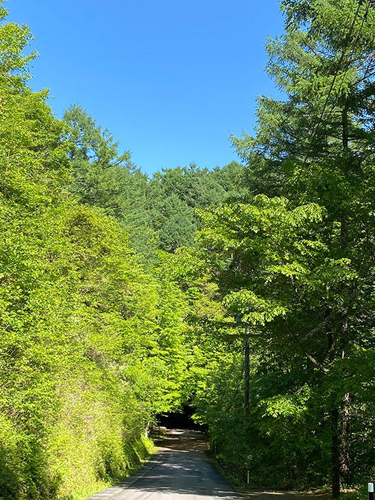 旧軽井沢倶楽部別荘地内の風景