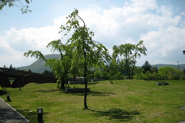 矢ヶ崎公園