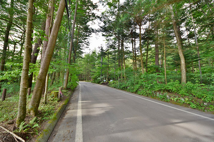 前面道路　矢ヶ崎別荘地