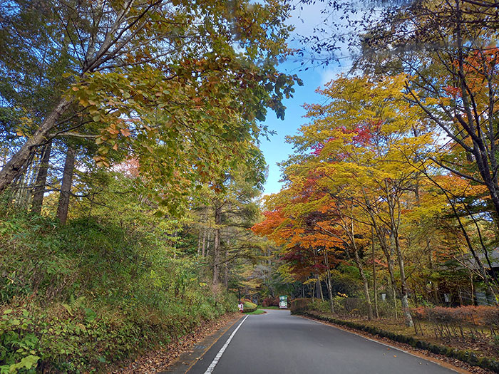 紅葉　軽井沢